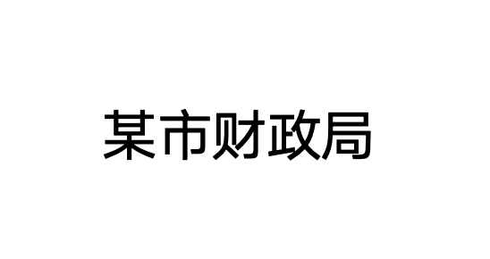 某市财政局.png